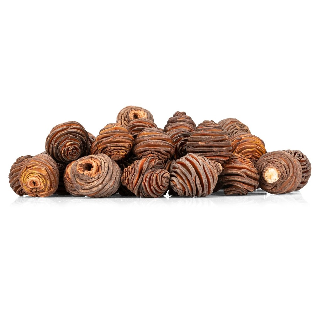 1512-Spiral-Zapfen-0-5kg-natur-getrocknet---Leucadendron-Deko-Basteln-Floristik--_3.jpg