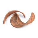 1526-Hornschote-Natur-Deko-10---12cm-----Xylia-xylocarpa-Samenkapsel-aus-Indien_2.jpg