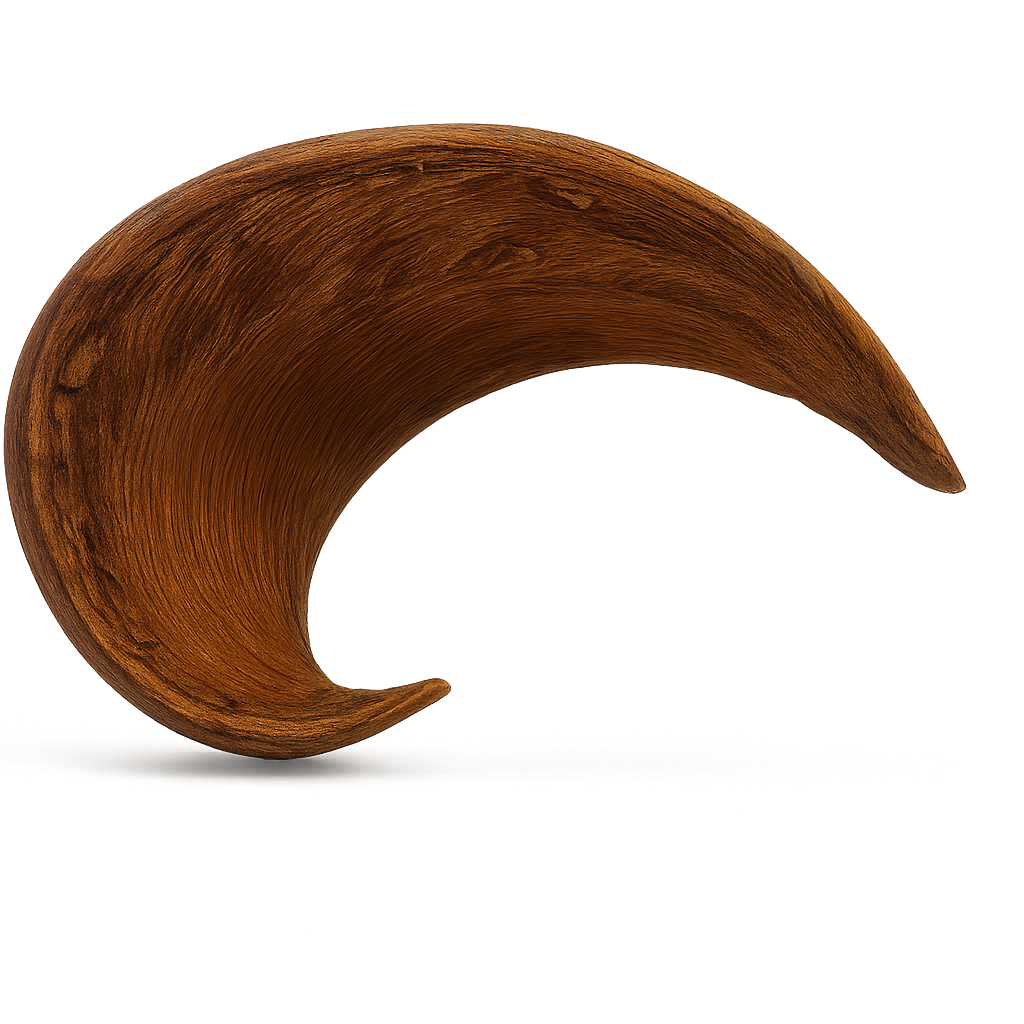 1526-Hornschote-natur-ca--10-12cm---Xylia-xylocarpa.png