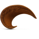 1526-Hornschote-natur-ca--10-12cm---Xylia-xylocarpa.png