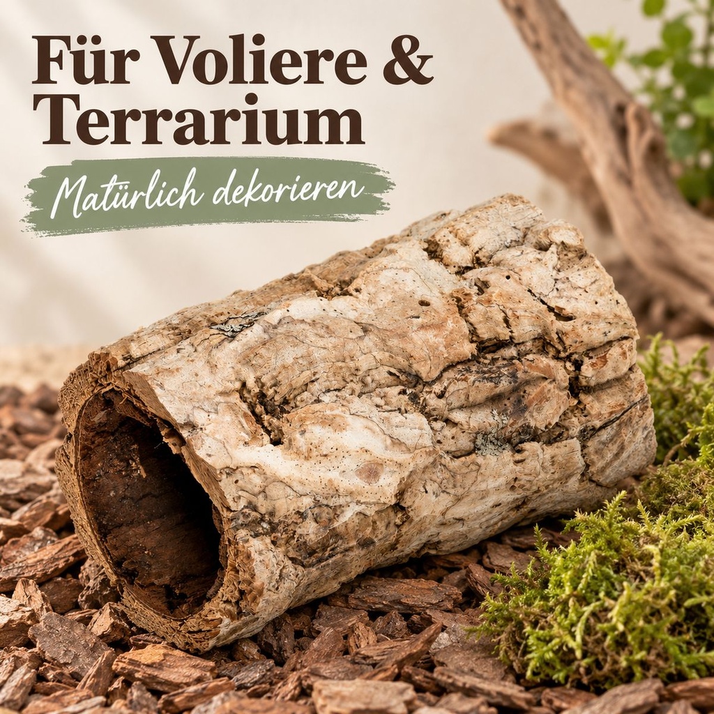 Hohle Korkröhre aus unbehandelter Rinde der Korkeiche als Versteck im Terrarium, auf Rindengrund neben einem Polster Moos