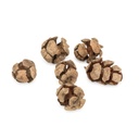 Zypressenzapfen Natur 0,5kg ca. 100 Stk  2