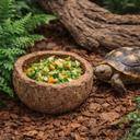 1562-Paranussschale-Natur-Deko-7---10cm-Terrarium-Pflanzschale-exotisch-unbehandelt_3.png
