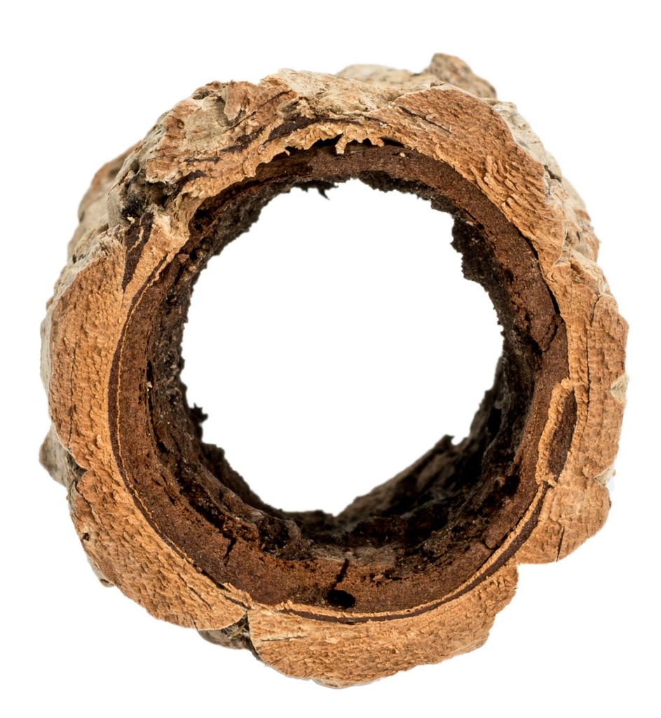 1564-Korkeiche--Maxi---Laenge-ca--20-cm--Durchmesser-5-bis-9-cm----Korkroehre-.jpg