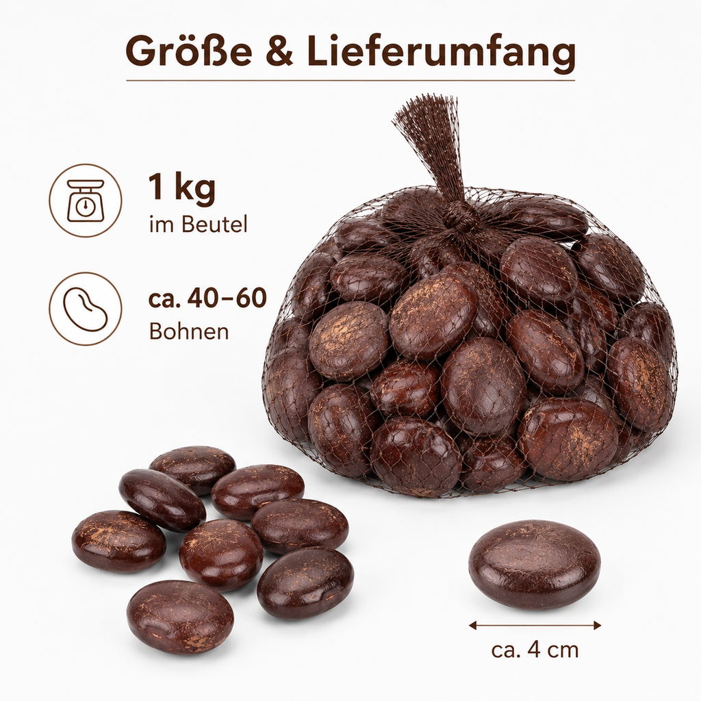 1565-Pangra-Bohnen-1kg-ca--4cm-40-60-Stk--Entada-phaseoloides-Seebohnen-DIY-Deko_4.png