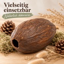 Kakaoschote getrocknet 10-15 cm, 1 Stück, Kakaofrucht ohne Bohnen – Anwendung 1