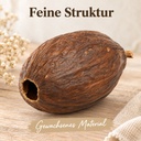 Kakaoschote getrocknet 10-15 cm, 1 Stück, Kakaofrucht ohne Bohnen – Detail