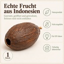 Kakaoschote getrocknet 10-15 cm, 1 Stück, Kakaofrucht ohne Bohnen – Eigenschaften