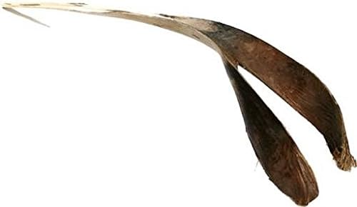 1670-Palm-Sing-in-Natur--Laenge-ca--120cm---Palmenblatt-getrocknet-zur-Dekoration_1.jpg