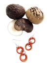 1671-Tagua-Nuesse-Natur-unpoliert--verpackt-im-Beutel-mit-1kg---Phytelephas-macrocarpa_4.jpg