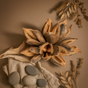 1699-Sororoca-Knospe-Natur-ca--20---30cm---Getrocknete-Bluetenknospe-der-Strelitzia-Nicolai---Exotische-Palmenbluete-aus-Brasilien---Naturdeko-fuer-Schale--Tisch--Boho-Deko--Trockenblume_4.png