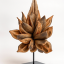 1699-Sororoca-Knospe-Natur-ca--20---30cm---Getrocknete-Bluetenknospe-der-Strelitzia-Nicolai---Exotische-Palmenbluete-aus-Brasilien---Naturdeko-fuer-Schale--Tisch--Boho-Deko--Trockenblume_2.png