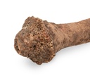 1753-Grasbaum-Wurzel-in-zwei-Groessen-waehlbar-30-60cm-und-60-120cm--Durchmesser-staerkste-Stelle-ca--15-25cm---Xanthorrhoea-_6.jpg