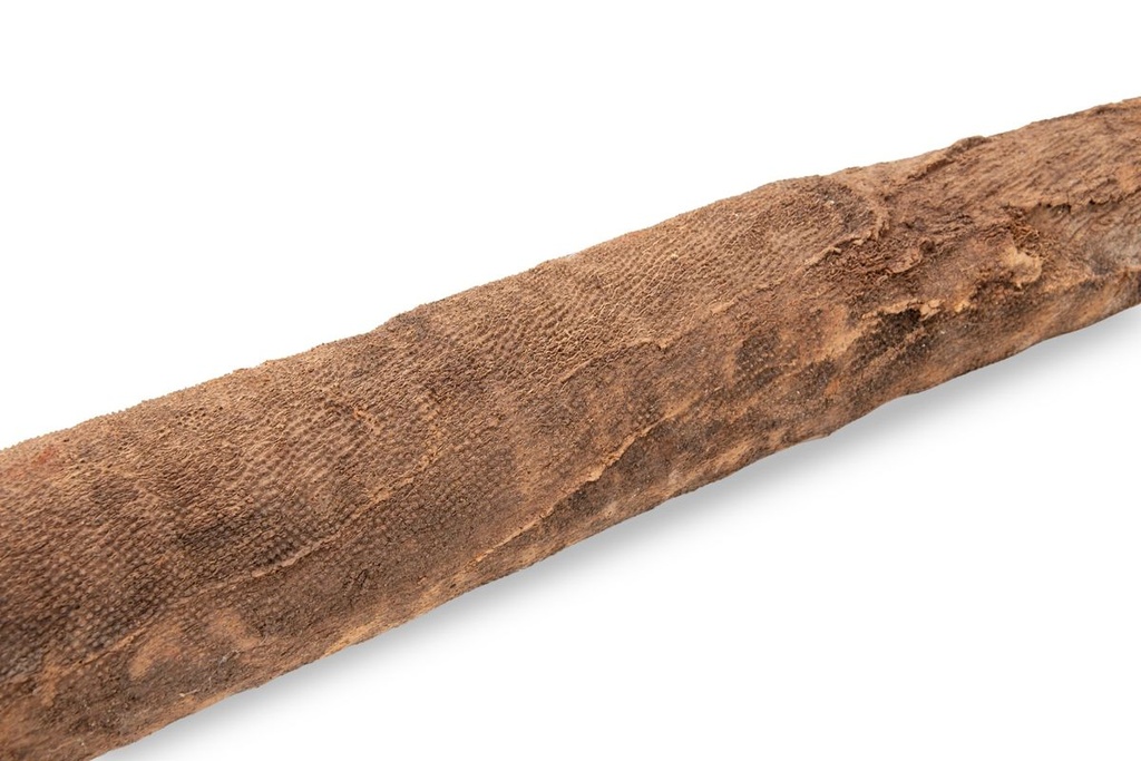 1753-Grasbaum-Wurzel-in-zwei-Groessen-waehlbar-30-60cm-und-60-120cm--Durchmesser-staerkste-Stelle-ca--15-25cm---Xanthorrhoea-_7.jpg
