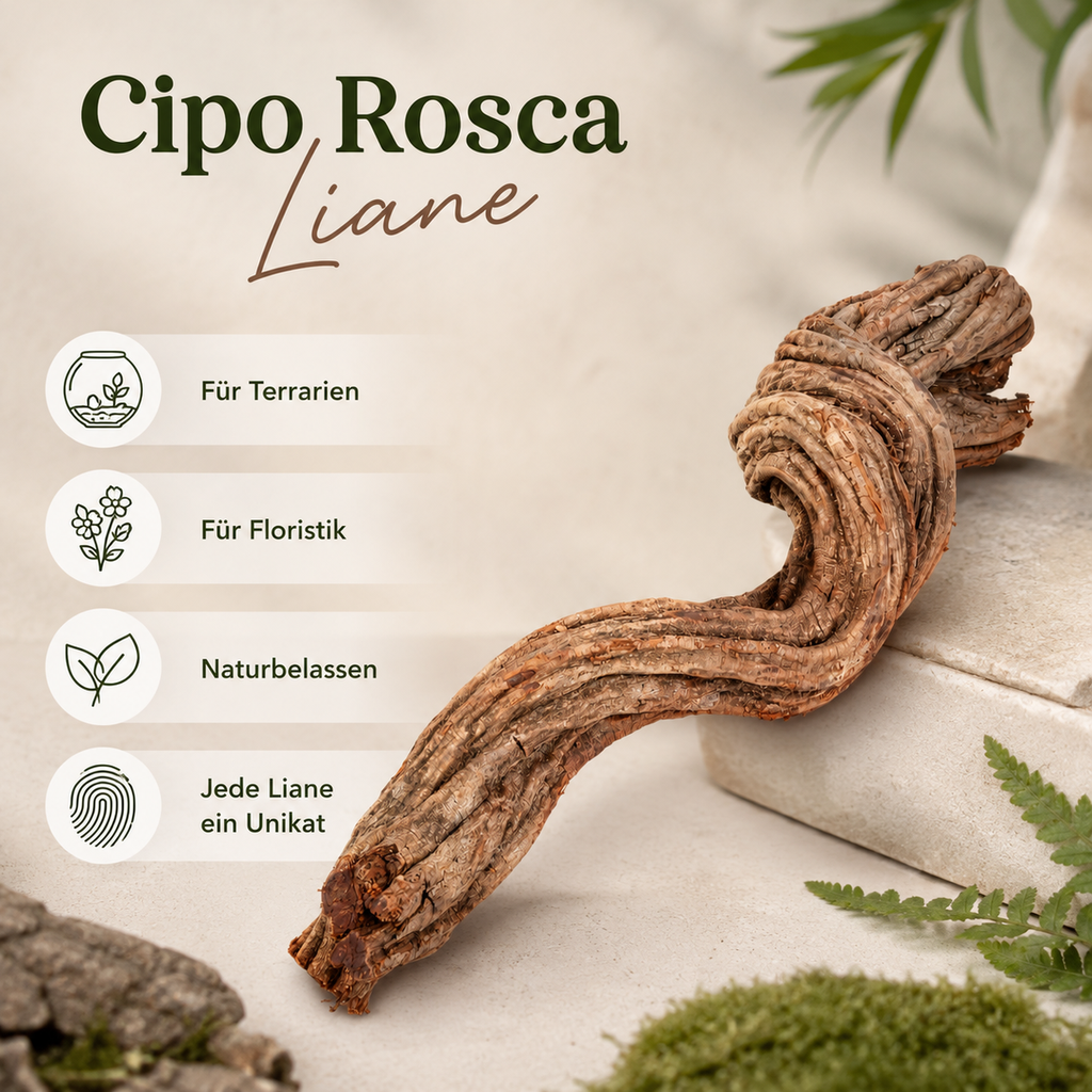 1798-Cipo-Rosca-Liane-40-70-cm-Terrarium-Holzdeko-Naturwurzel-Luftwurzel-Dekoholz_6.png