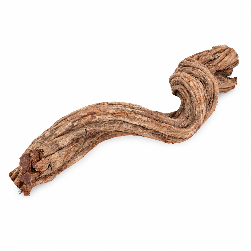 1798-Cipo-Rosca-Liane-40-70-cm-Terrarium-Holzdeko-Naturwurzel-Luftwurzel-Dekoholz_5.png