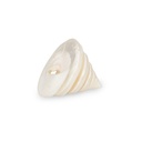 1913-Trochus-pyramis-ca--5-cm-poliert-Trochus-Spirale-Perlmutt-Schneckenhaus-Deko_1.jpg