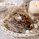1926-Cypraea-tigris-5-7-cm-Kauri-Tigerschnecke-Deko-Schneckenhaus-maritime-Naturdeko_3.png