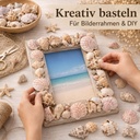 Muscheln und Schneckenhäuser — Hände bekleben einen Bilderrahmen rundherum mit Muscheln