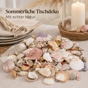 Muscheln und Schneckenhäuser — Tischdeko mit Muscheln, Kerze, Tellern und einem kleinen Nest