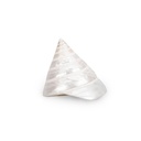 1972-Trochus-pyramis-ca--5-cm-Troca-Pearl-Kreiselschnecke-Perlmutt-Deko-Vitrine-Regal.jpg
