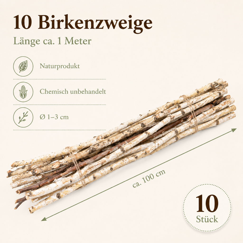 Birkenzweige Bund 10 Stück ca. 1 m Birke 2