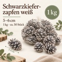 Tannenzapfen weiß 1 kg, ca. 50 Stück, 5-6 cm, Pinus nigra, gekalkt – Maße