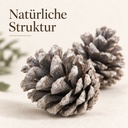Tannenzapfen weiß 1 kg, ca. 50 Stück, 5-6 cm, Pinus nigra, gekalkt – Detail