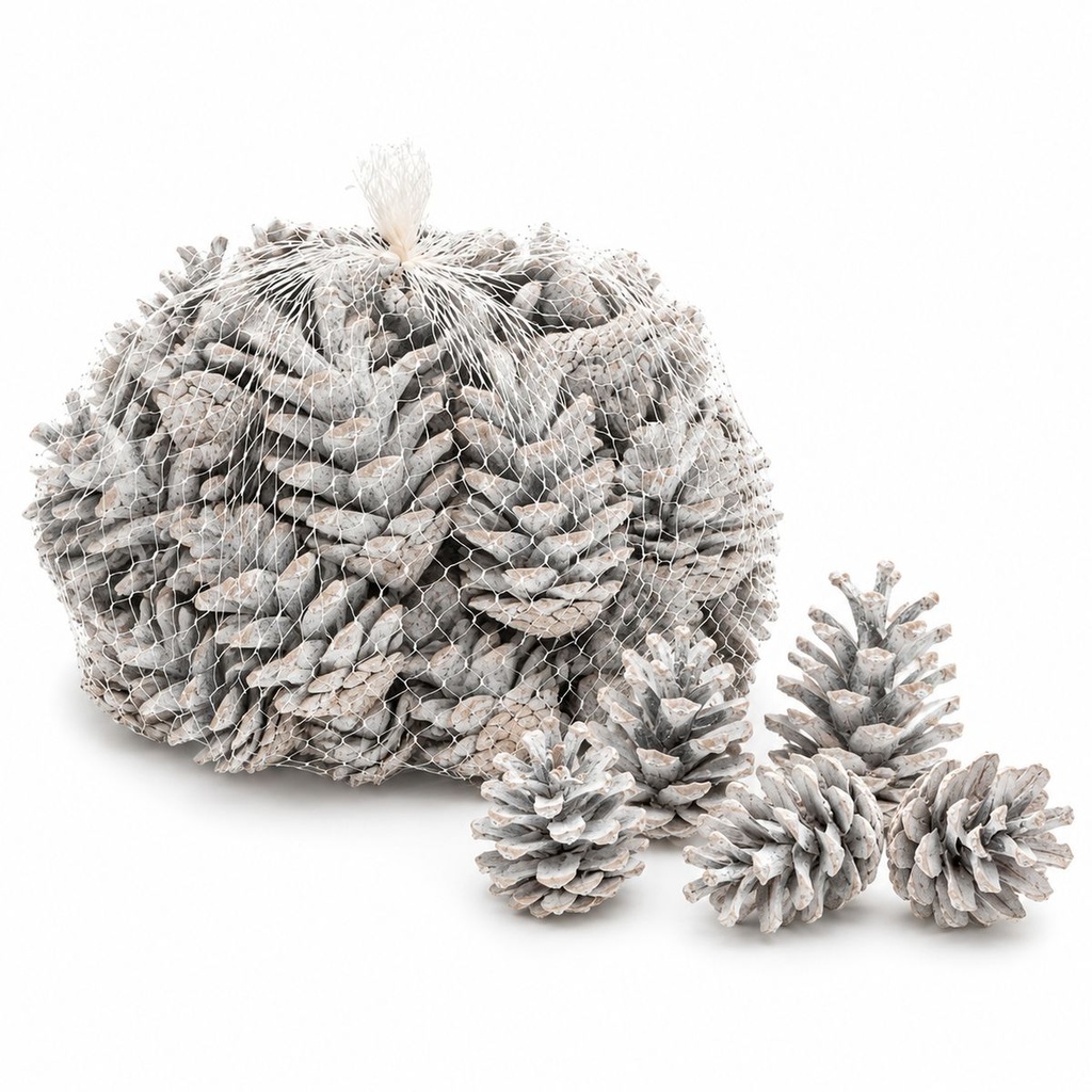 Tannenzapfen weiß 1 kg, ca. 50 Stück, 5-6 cm, Pinus nigra, gekalkt – Hauptbild