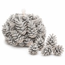 Tannenzapfen weiß 1 kg, ca. 50 Stück, 5-6 cm, Pinus nigra, gekalkt – Hauptbild