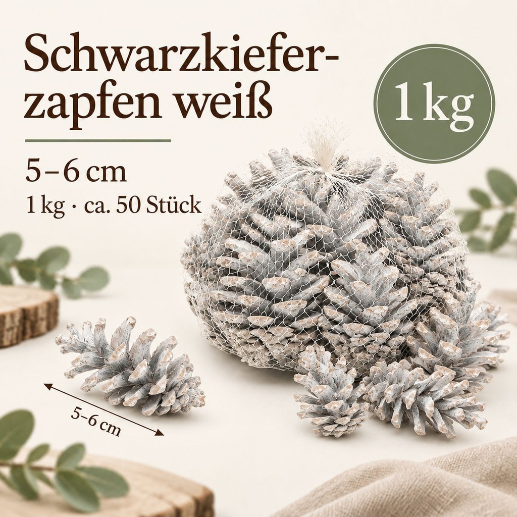 Tannenzapfen weiß 1 kg, ca. 50 Stück, 5-6 cm, Pinus nigra, gekalkt – Maße