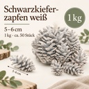Tannenzapfen weiß 1 kg, ca. 50 Stück, 5-6 cm, Pinus nigra, gekalkt – Maße