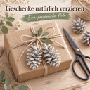 Tannenzapfen weiß 1 kg, ca. 50 Stück, 5-6 cm, Pinus nigra, gekalkt – Anwendung 2