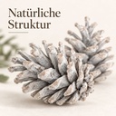 Tannenzapfen weiß 1 kg, ca. 50 Stück, 5-6 cm, Pinus nigra, gekalkt – Detail