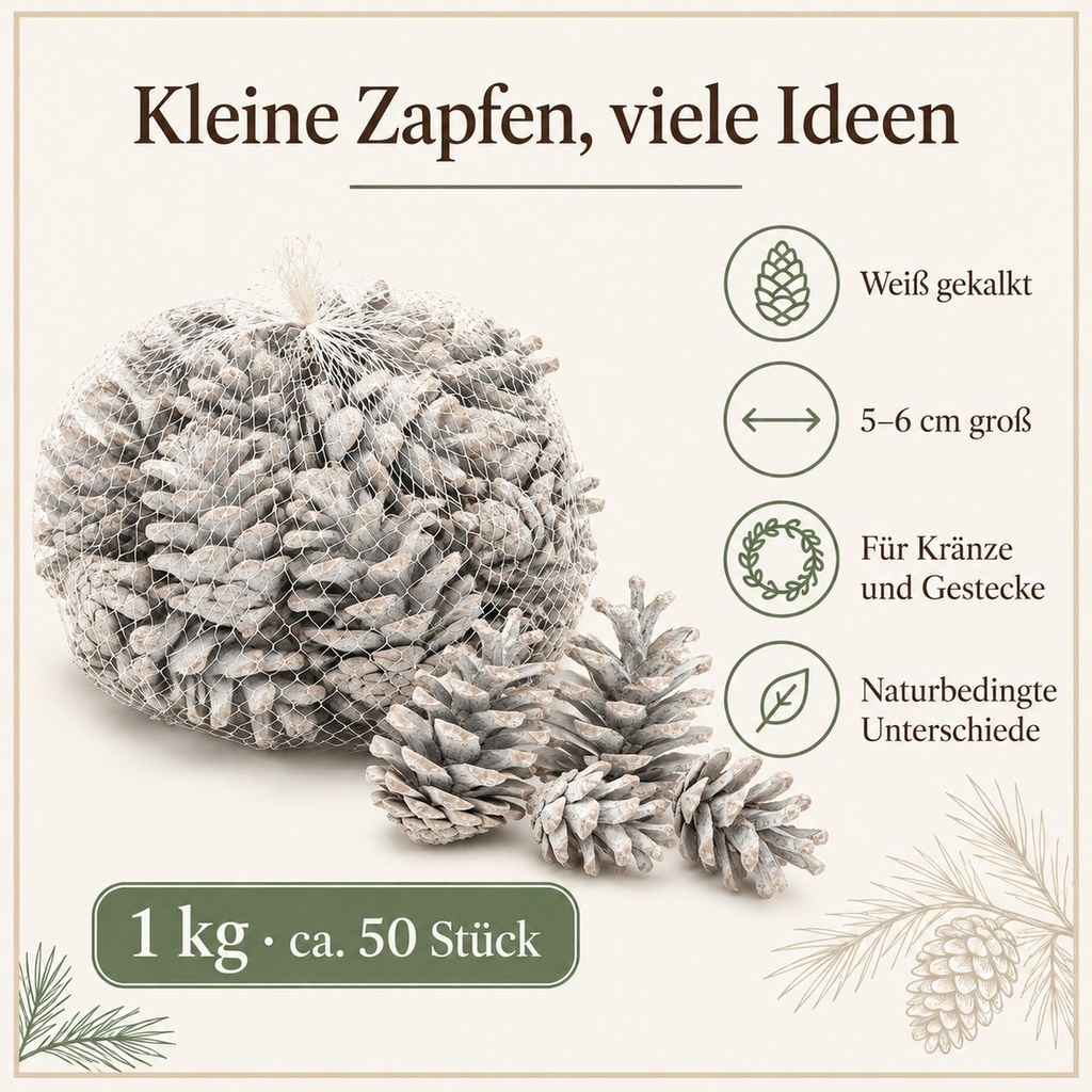Tannenzapfen weiß 1 kg, ca. 50 Stück, 5-6 cm, Pinus nigra, gekalkt – Eigenschaften