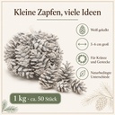 Tannenzapfen weiß 1 kg, ca. 50 Stück, 5-6 cm, Pinus nigra, gekalkt – Eigenschaften