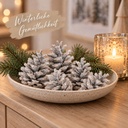 Tannenzapfen weiß 1 kg, ca. 50 Stück, 5-6 cm, Pinus nigra, gekalkt – Wohnszene