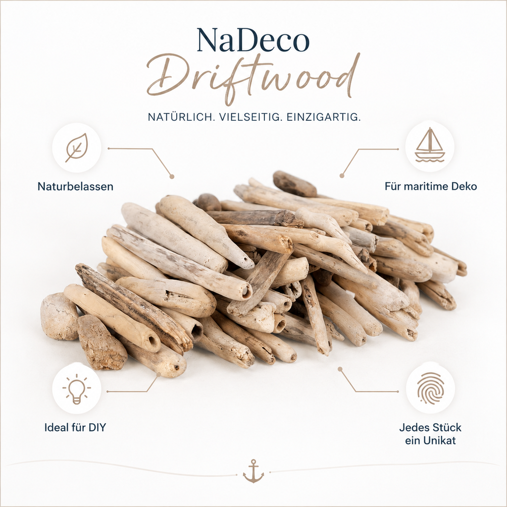 Treibholz — Übersicht: naturbelassen, für maritime Deko, ideal für DIY, jedes Stück ein Unikat