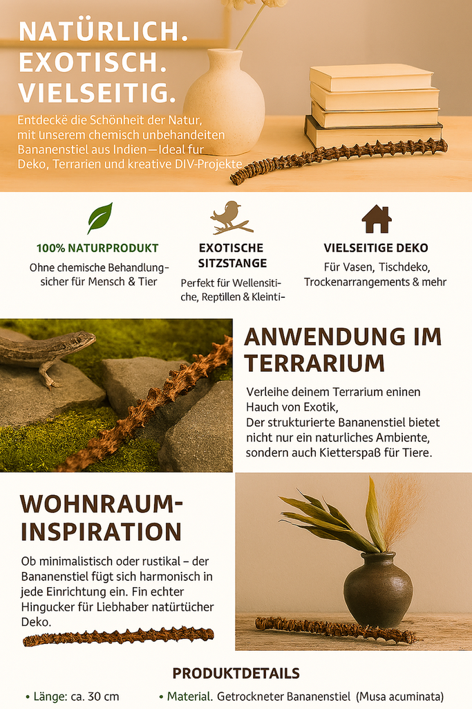2306-Bananenstiel-Natur-30cm-----Deko-Zweig-Musa-acuminata-_3.png