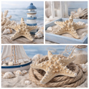 2335-Echter-Noppen-Seestern-Natur-10---15-cm---Protoreaster-nodosus-aus-dem-Indopazifik---Deko-Seestern-fuer-maritime-Dekoration--Badezimmer--DIY-Basteln--Tischdeko--Strandhochzeit-und-F_4.png