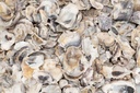 2409-Kleine-Austernschalen--verpackt-mit-0-5kg--Groesse-ca--2-4cm--Herkunft--tropischen-Westpazifik--Muschelschalen-sindan-den-Lippen--aufgebrochen----Crassostrea-gigas_2.jpg
