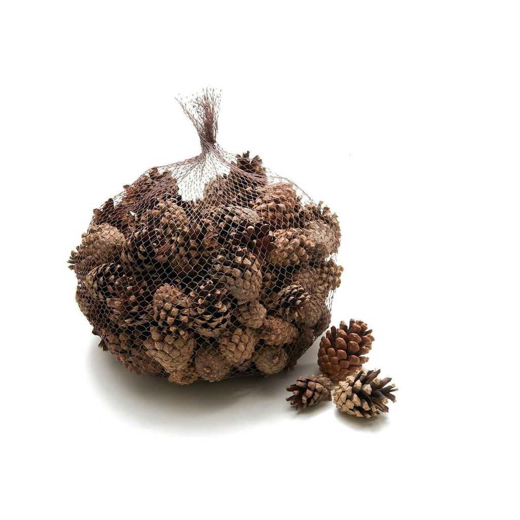 2461-Sylvestris-Zapfen--verpackt-mit-1-kg--ca--150-Stueck----Waldkiefer-Zapfen.jpg
