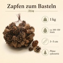 2461-Sylvestris-Zapfen--verpackt-mit-1-kg--ca--150-Stueck----Waldkiefer-Zapfen_1.jpg