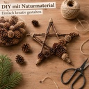 2461-Sylvestris-Zapfen--verpackt-mit-1-kg--ca--150-Stueck----Waldkiefer-Zapfen_6.jpg
