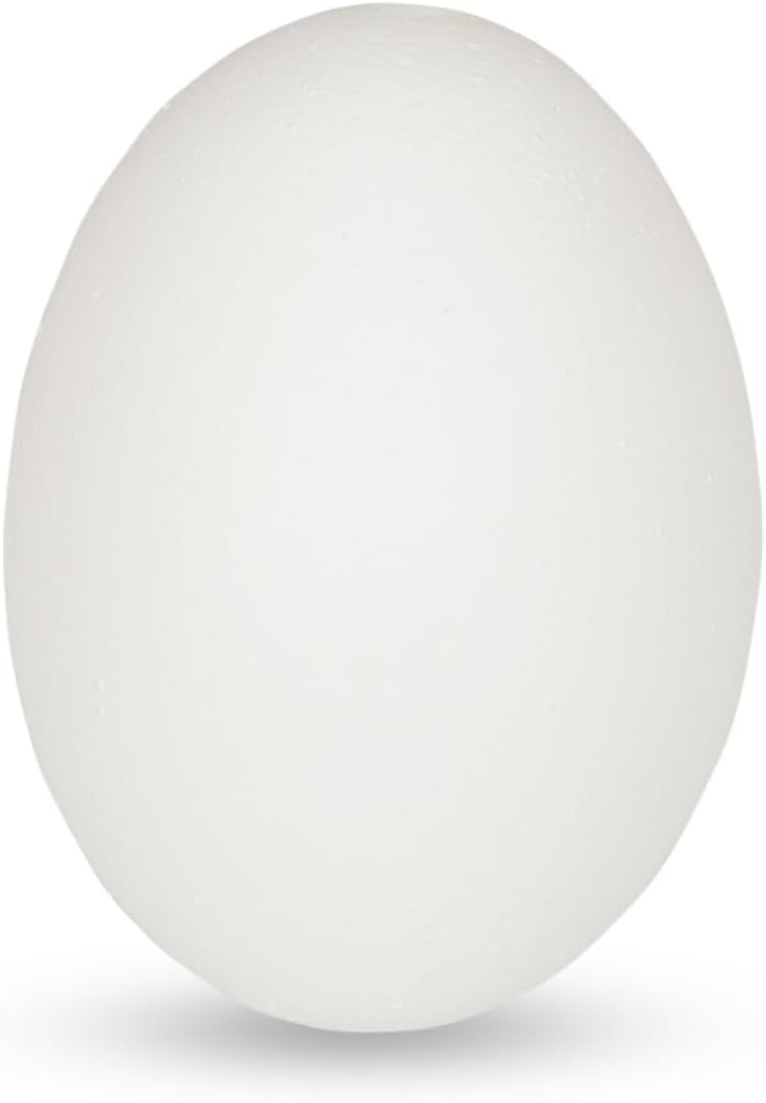 2508-Huehnereier-Weiss--im-Karton-mit-12-Stueck--ausgeblasen-und-gereinigt_1.jpg