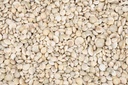 2514-Umbonium-vestiarium--Weiss--Gewicht-ca--0-5kg---Deko-Schnecken-_2.jpg