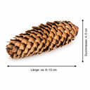 Fichtenzapfen Natur, 1 kg, 6 bis 12 cm,  2
