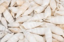 2522-Cerithium-vertagus--0-5kg--ca--3-5cm--ca--100-120-Stk----Deko-Schnecken_2.jpg
