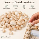 Mattukan Schnecken 1 kg, ca. 150 Stück, 2-5 cm, Natica vitellus – Anwendung 2
