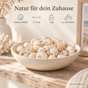 Mattukan Schnecken 1 kg, ca. 150 Stück, 2-5 cm, Natica vitellus – Wohnszene